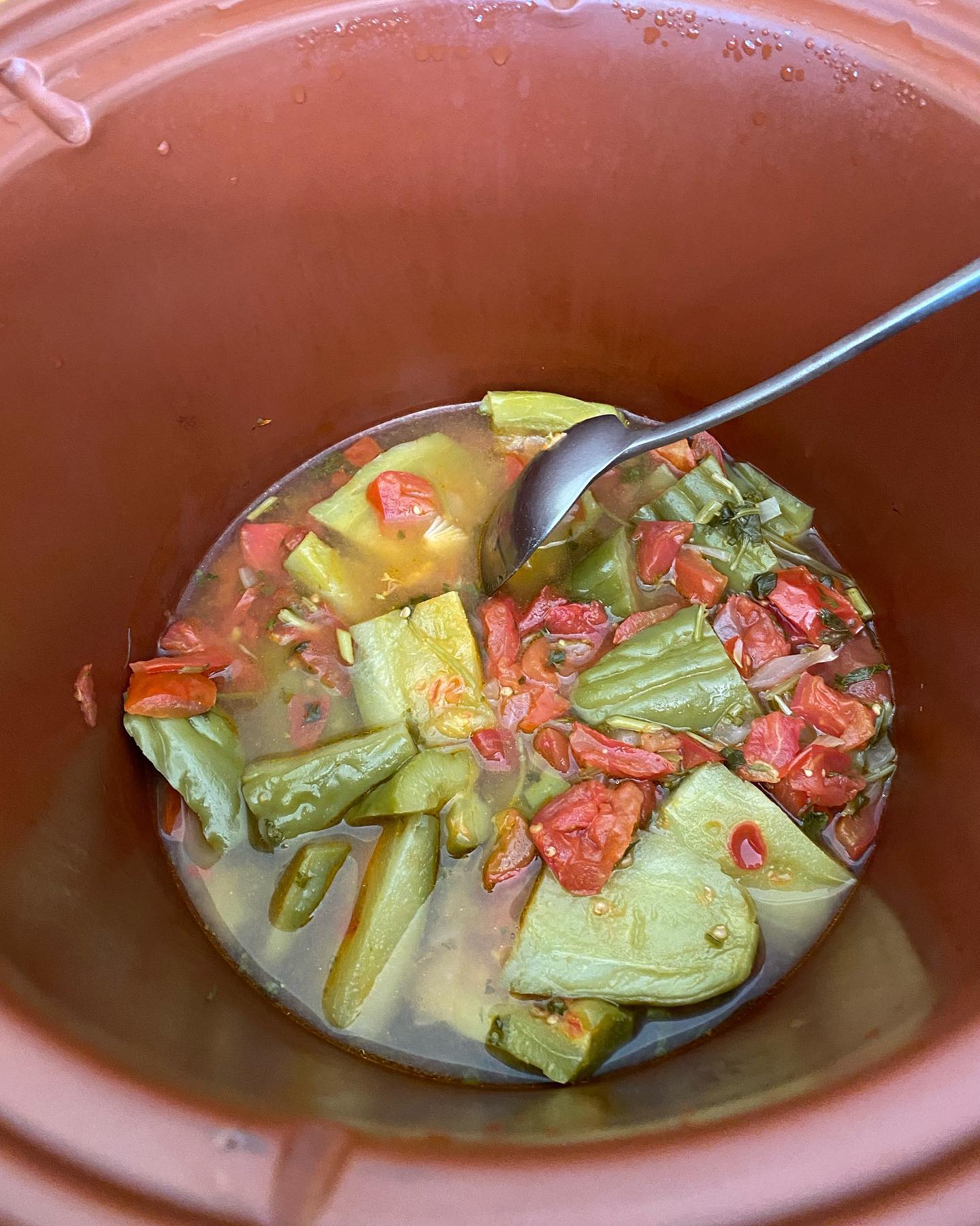 Bitter guard melon stew