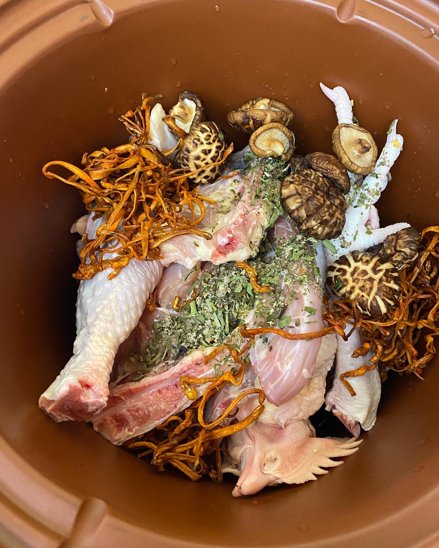 chicken bone broth soup with Cordyceps and shiitake mushrooms