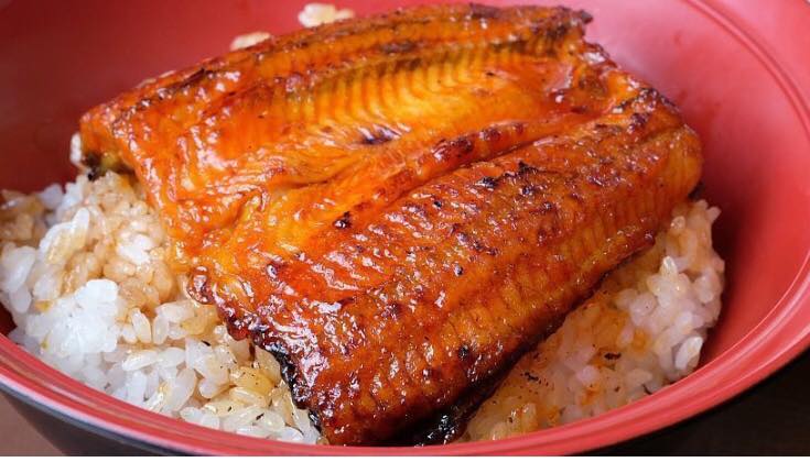 Authentic Japanese Unagi: A Perfect One-Pot  in VitaClay