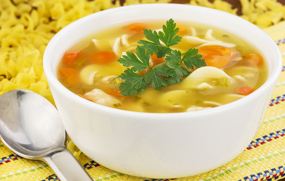 Old Fashioned Chicken Noodle Soup for Vitaclay