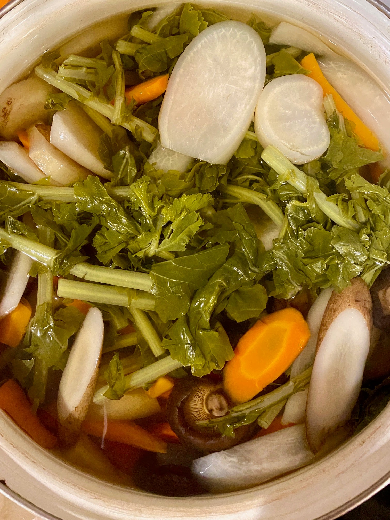 Five-Element Vegetable Broth by Dr. Kazushi Tateishi - VitaClay® Chef