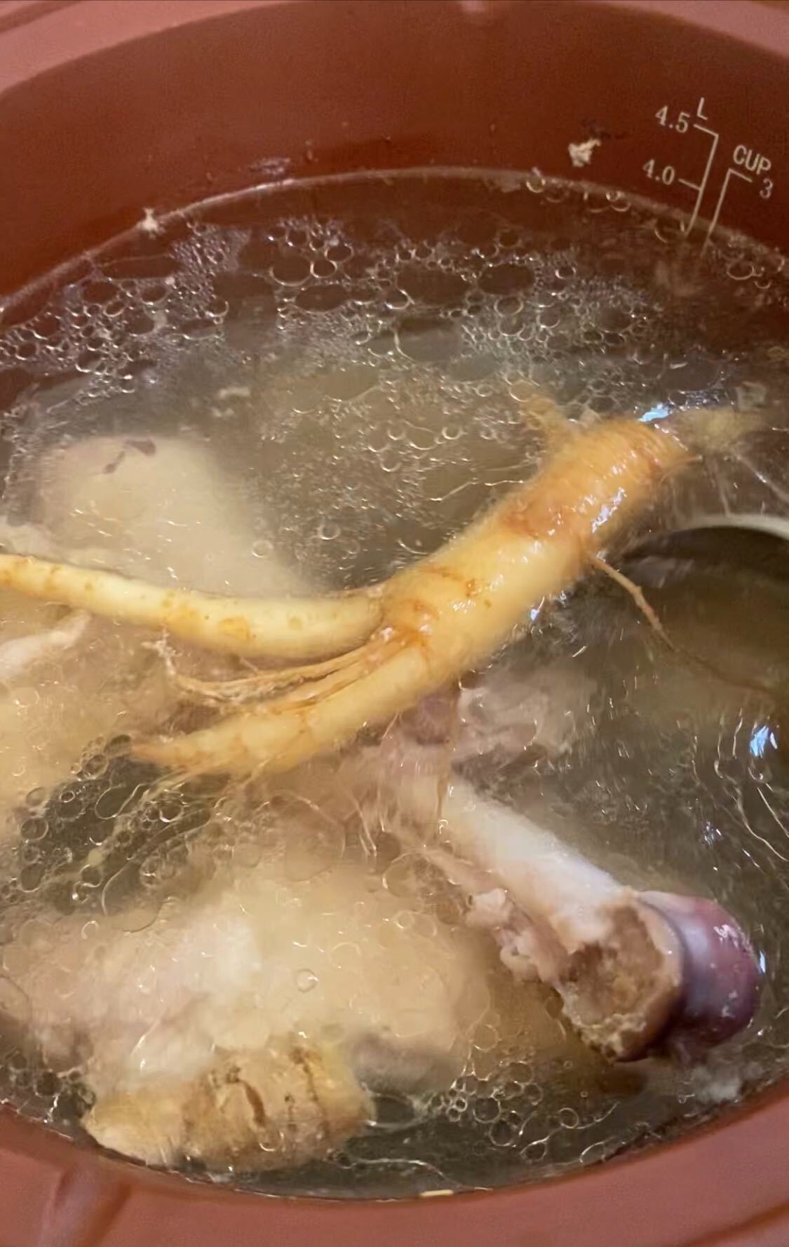 Turkey Bone Broth with American Ginseng