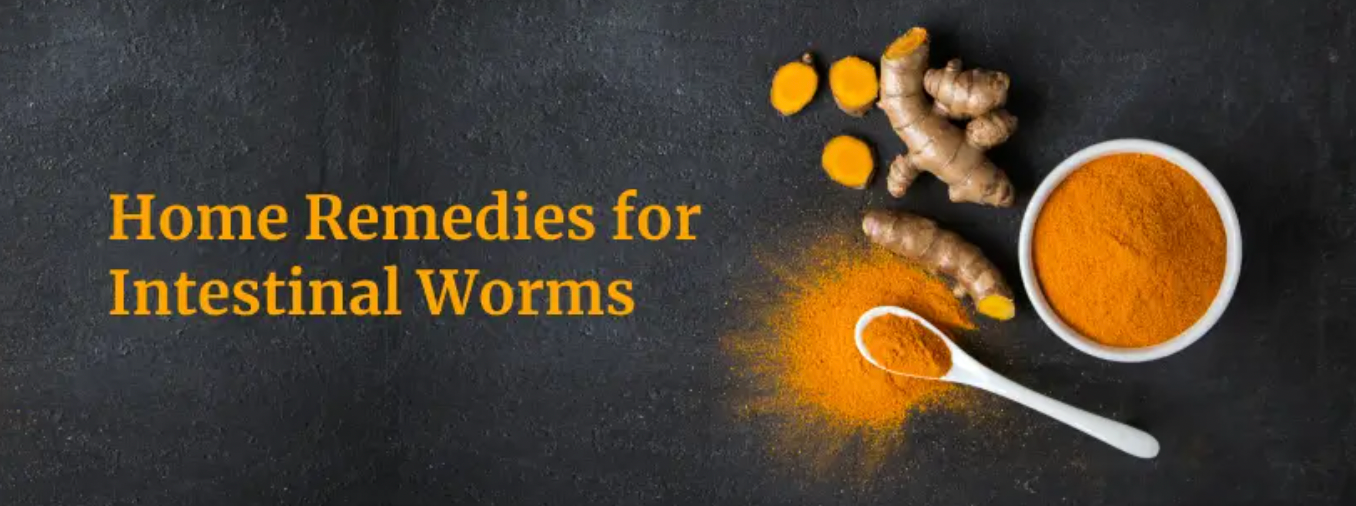 Vitaclay Recipes to Kill and Get Rid of Parasites