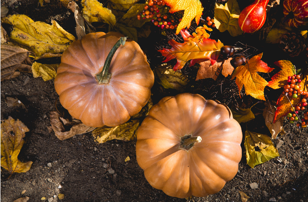 Winter Squash: A Cornucopia Of Health