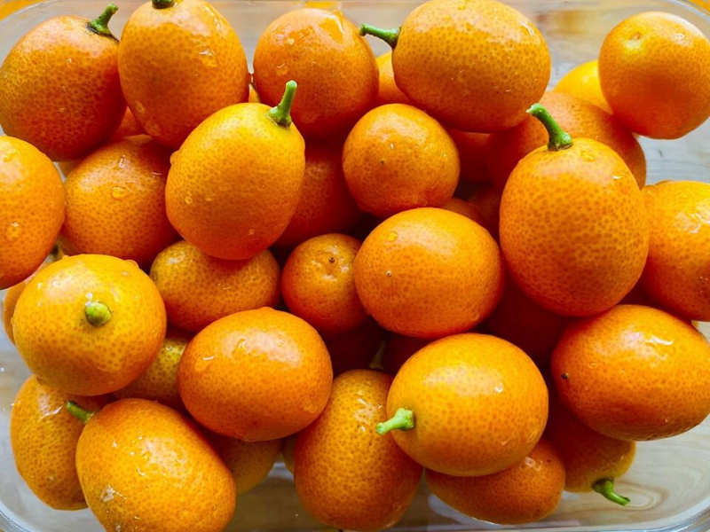 Antiviral and Anti-Cancer Longevity Superfood Kumquats 