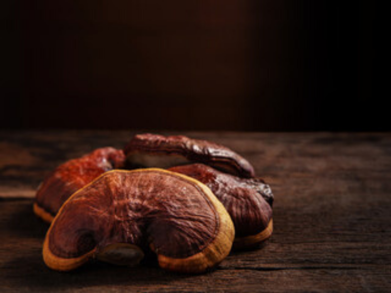 ImmuneBoosting, AntiAllergy and AntiInflammatory Reishi Mushroom Te