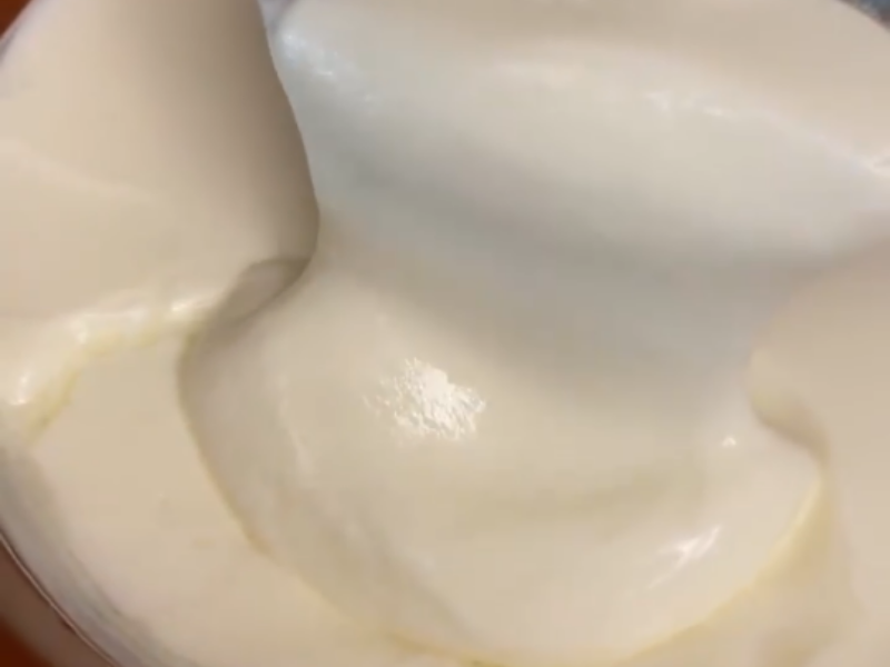 homemade yogurt with vita clay yogurt maker - Priya's Curry Nation