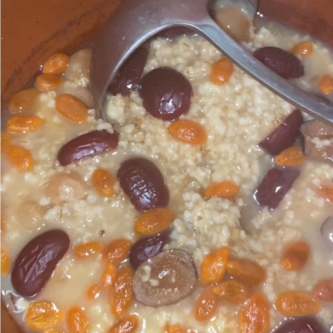 Steel Cut Oats with Jujubes, Dried Longans, and Goji Berries in 30 Minutes!