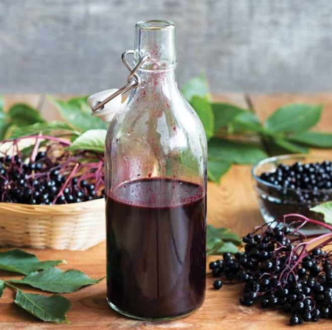 Elderberry: A Natural Remedy for Mild Colds and Flu? Can you make Elderberry Syrup in your VitaClay?