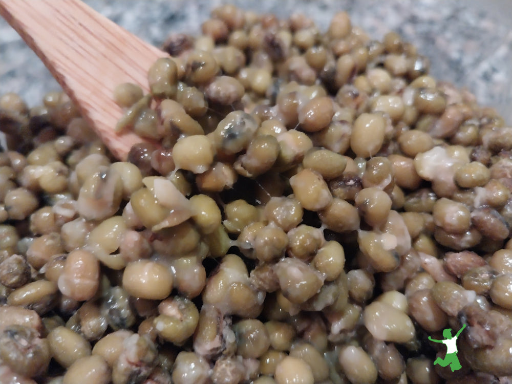 Homemade Natto (soy-free) by the healthy home economist