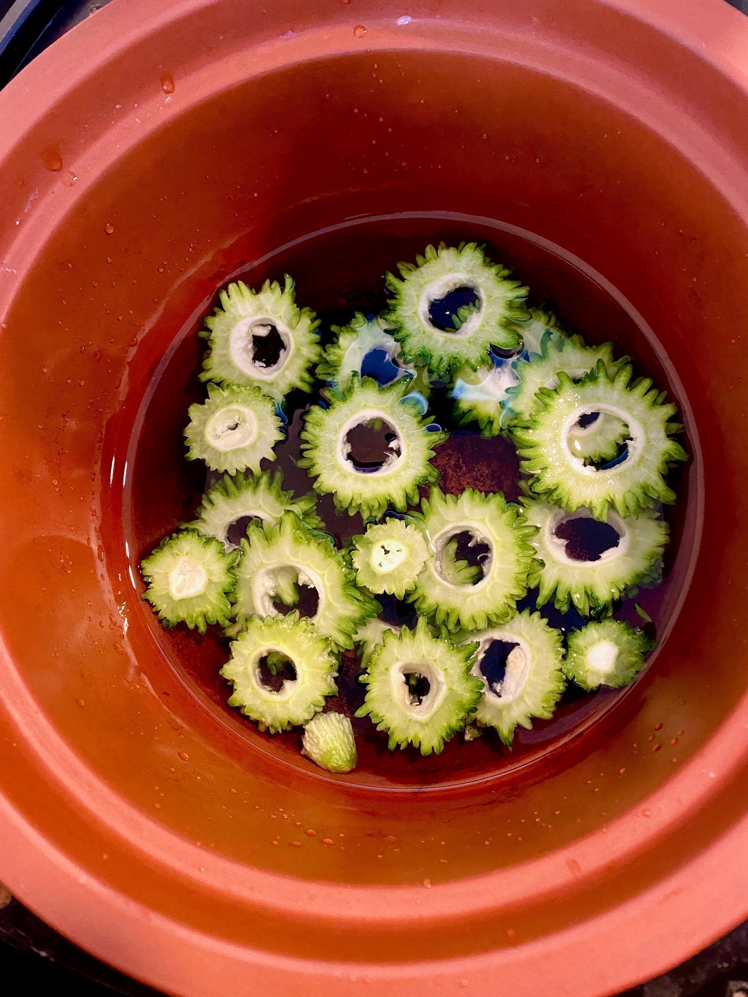 Bitter Melon Tea: A Potent Herbal Tonic Brewed in VitaClay
