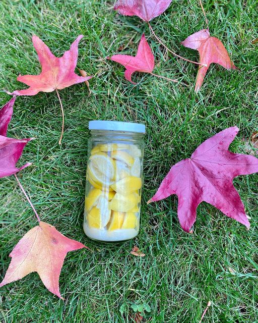 Preserved lemons from the backyard for Tagine recipe