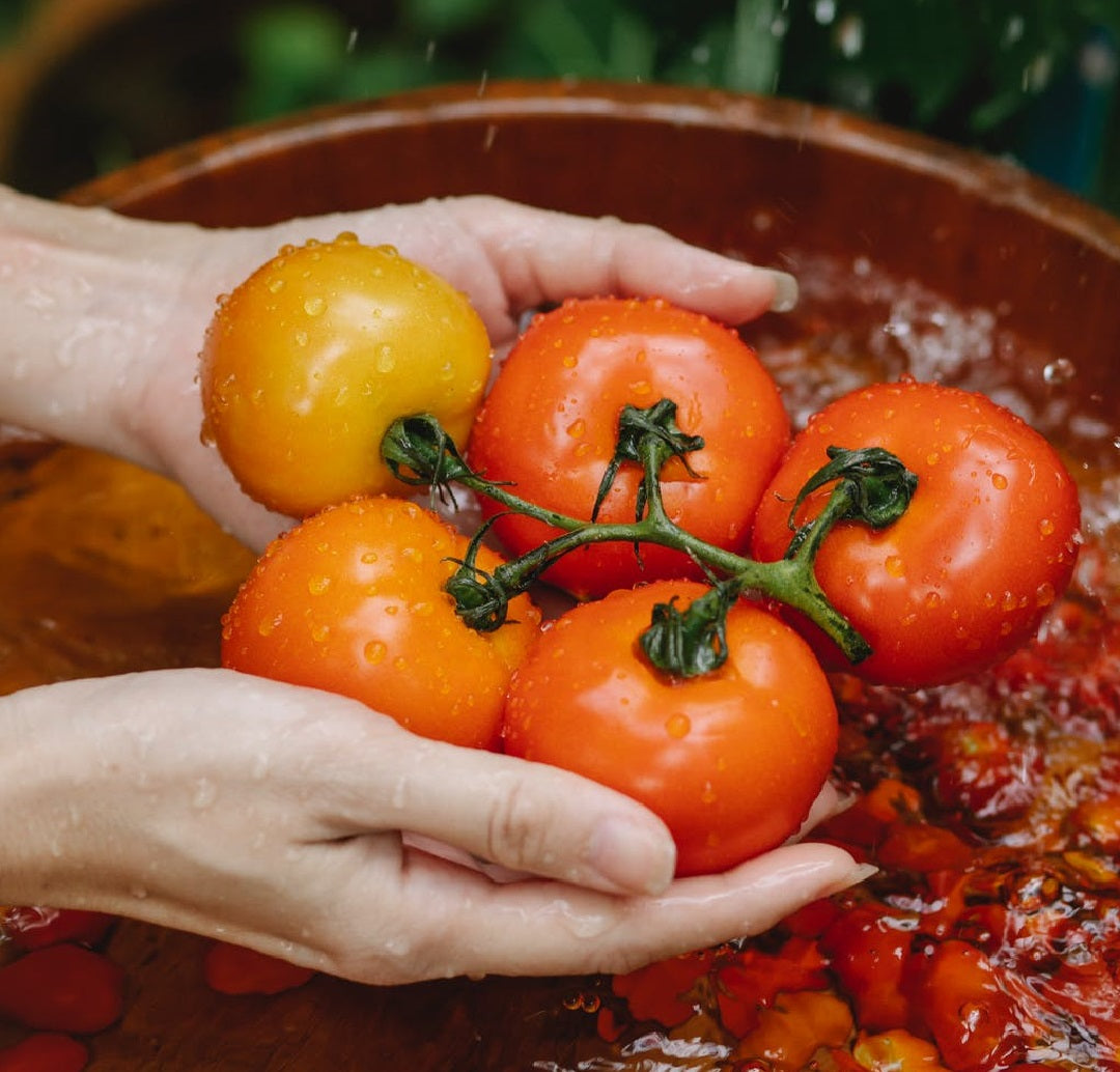 #1 BEST Way to Stay Safe and Healthy 👨‍⚕️