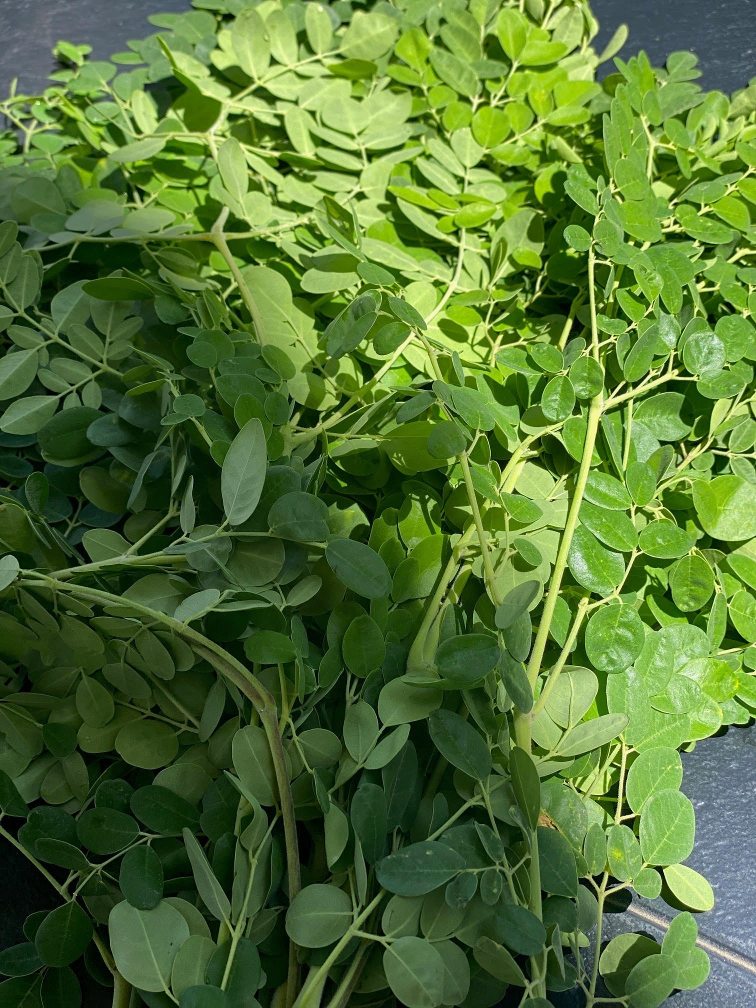 Summer Vibes, Super Greens!