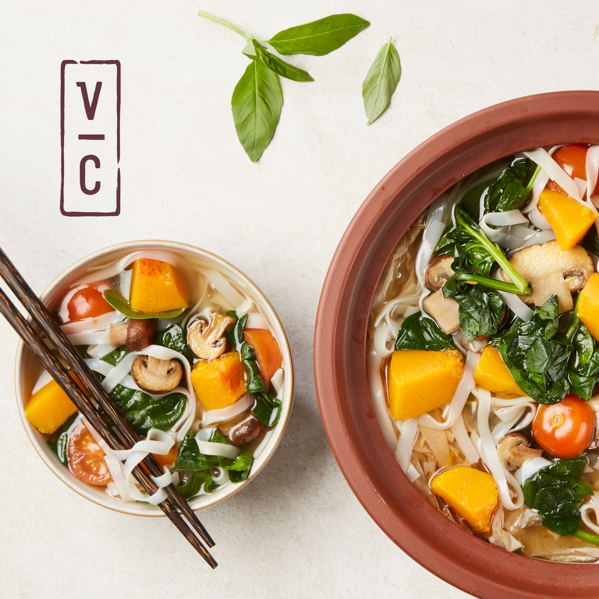 VITACLAY NourishingPot™- VM1688-9