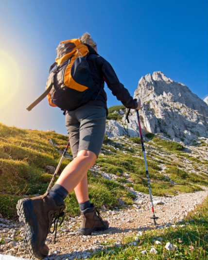 Rejuvenating Stress Relief with Astragalus Tea and Soup Bundle - VitaClay® Chef